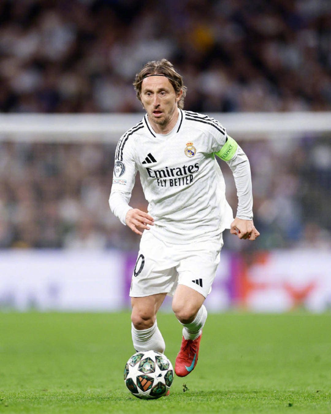 热刺官方：孙兴慜将于12月10日欧冠赛前重返球场与球迷道别